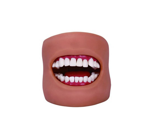 ǻ坍ģͣĘa